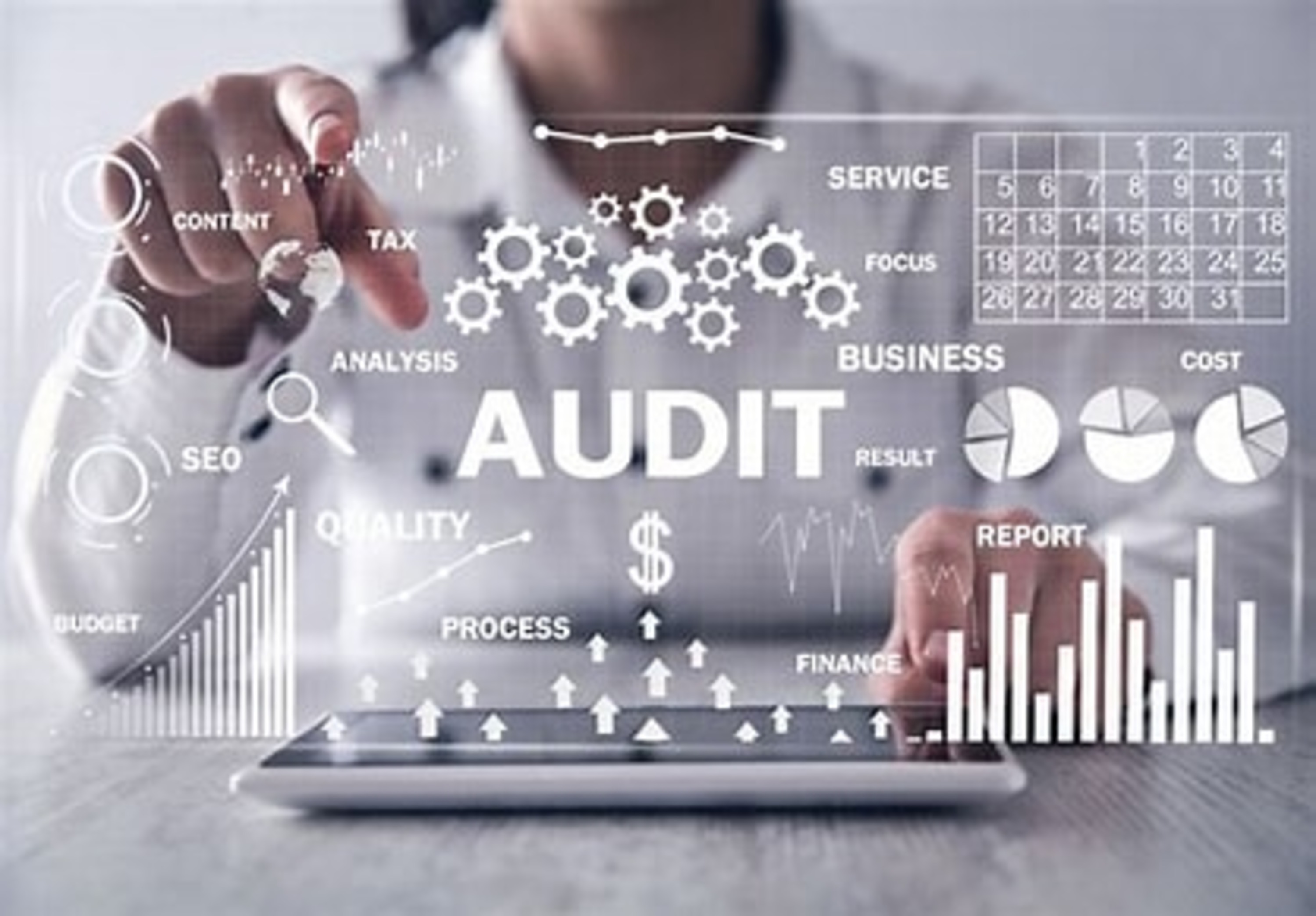 Conseils et Audits